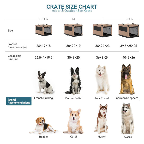 Tucker Murphy Pet Portable Dog Crate 36